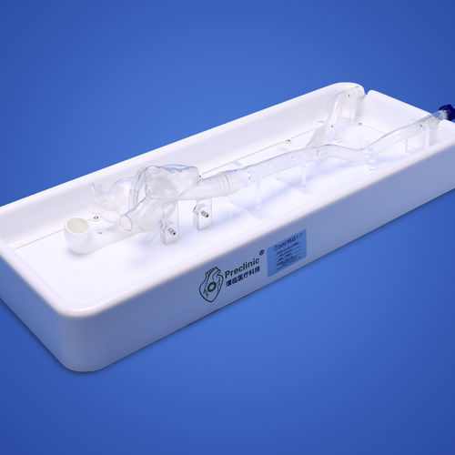 Modello anatomico di cuore - PLXG1012 - Shanghai Preclinic Medtech - di vena cava / di vena iliaca / padiglione auricolare
