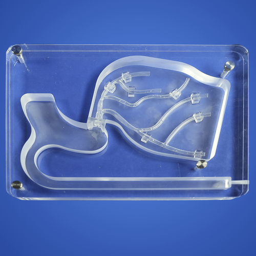 Modello vascolare di arterie coronarie - PLXG2001 - Shanghai Preclinic Medtech - per chirurgia mini-invasiva / per cardiochirurgia / per chirurgia vascolare