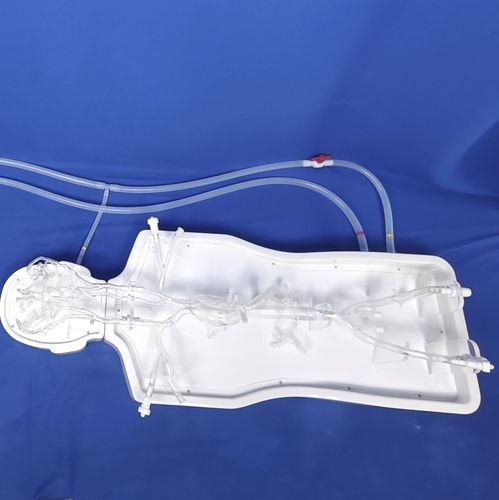 Modello vascolare di arteria cerebrale anteriore (ACA) - PLSJXG001A - Shanghai Preclinic Medtech - di arteria intracranica / di arteria cerebrale posteriore / di arteria cerebrale
