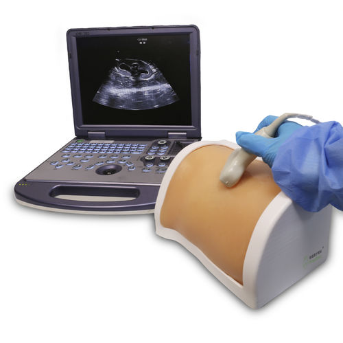 Simulatore per puntura per nefrolitotomia percutanea - PLMNCS001 - Shanghai Preclinic Medtech - didattico / workstation / ecoguidato