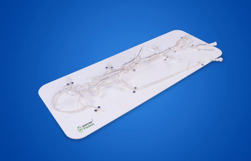 Modello vascolare renale - PLXG1002 - Shanghai Preclinic Medtech - intracranico / di seno nasale / vertebrale