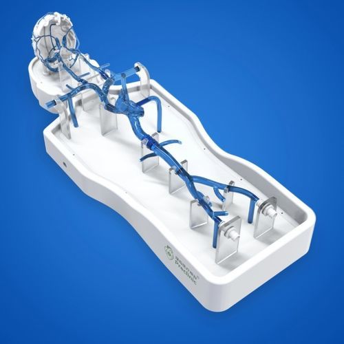 Modello vascolare di vasi sanguigni - PLSJXG002 - Shanghai Preclinic Medtech - di cervello / cerebrale / per vena femorale