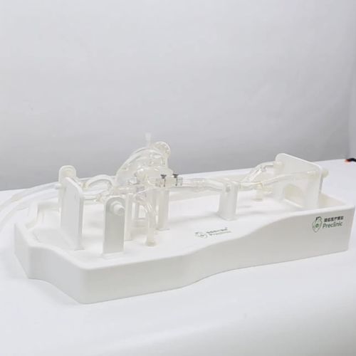 Modello vascolare di seno nasale - PLXZXG001 - Shanghai Preclinic Medtech - di cuore / cardiaco / di vena