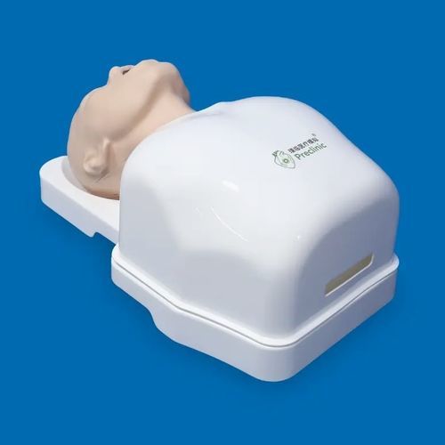 Modello anatomico di apparato respiratorio - PLHX1002 - Shanghai Preclinic Medtech - per chirurgia / per intubazione / per endoscopia