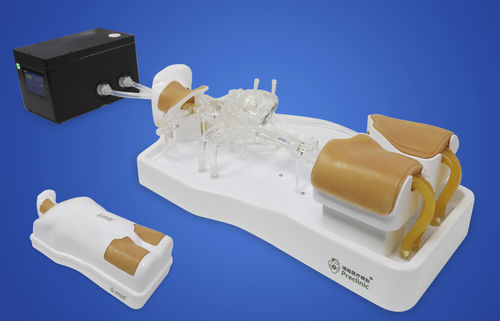 Modello vascolare di cuore - Shanghai Preclinic Medtech - di vena / per chirurgia / per accesso vascolare