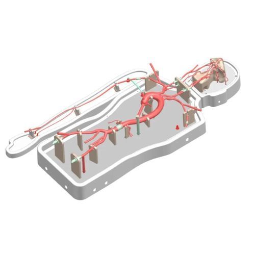 Modello vascolare di arteria cerebrale media - PLSJXG001A - Shanghai Preclinic Medtech - arteria iliaca / di arteria basilare / di arteria femorale