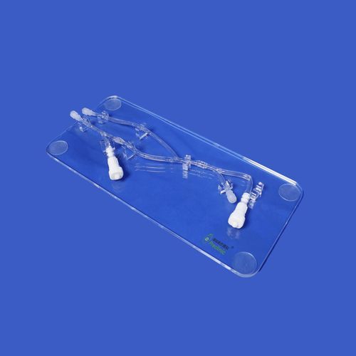 Modello vascolare arti superiori - PLWZXG001 - Shanghai Preclinic Medtech - di braccio / di vena cefalica / arteria brachiale