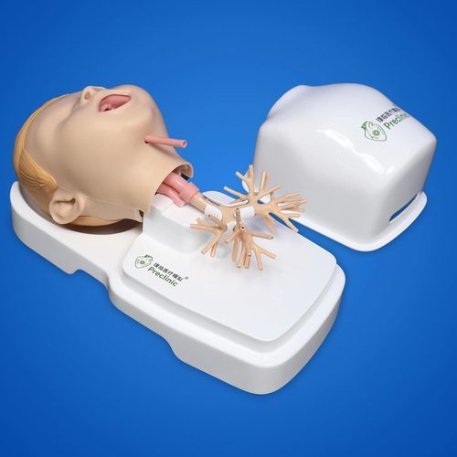 Manichino didattico per cure pediatriche - PLHX1005-B - Shanghai Preclinic Medtech - endoscopia bronchiale / di dimostrazione / per gestione delle vie aeree