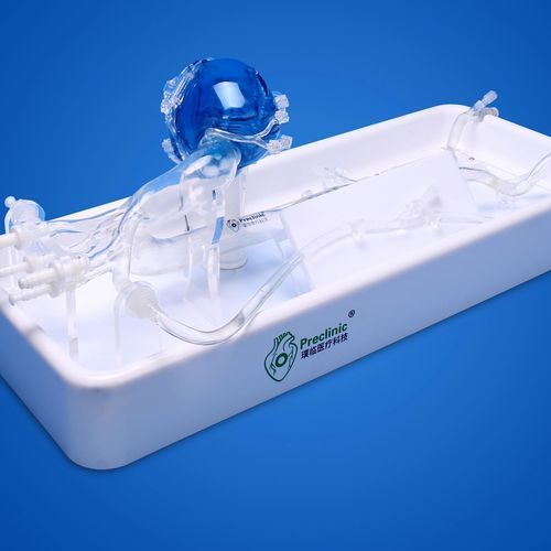 Modello vascolare di arterie coronarie - PLXZXG003 A - Shanghai Preclinic Medtech - di aorta toracica / per arteria radiale / di arteria femorale