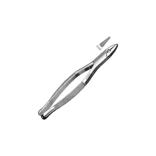 Pinza dentale - SI-3192 - Aadab International - di estrazione
