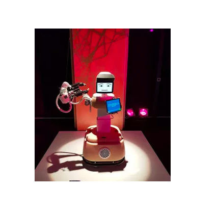 Braccio robotizzato pick and place - RAMCIP - ACCREA Engineering - di nutrizione / a pavimento