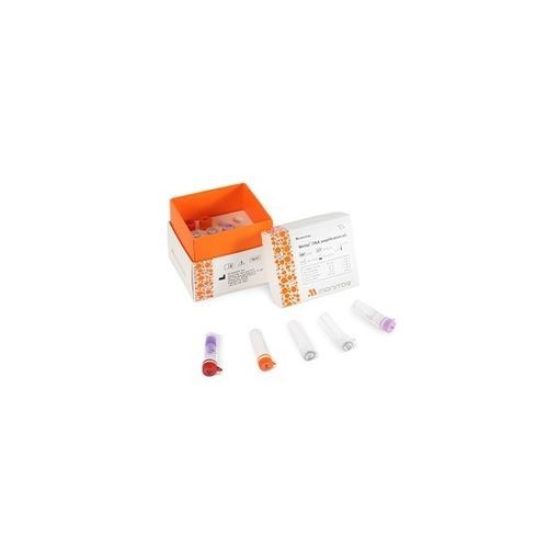 Kit di reagenti in soluzione - Mmiso® - M Monitor Inc. - per amplificazione di DNA