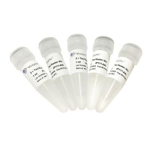 Reagente tampone di caricamento - P111 series - Nanjing Vazyme Medical Technology Co.,Ltd - Taq polimerasi / per elettroforesi