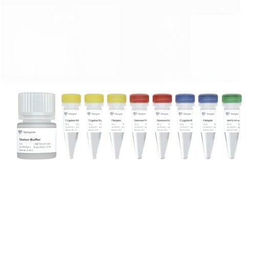 Kit di reagenti in soluzione - V3 NE103 - Nanjing Vazyme Medical Technology Co.,Ltd - per preparazione di banche del DNA