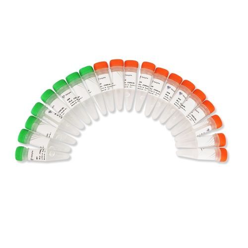 Kit di reagenti in soluzione - TruePrepTM - Nanjing Vazyme Medical Technology Co.,Ltd - per sequenziamento di DNA
