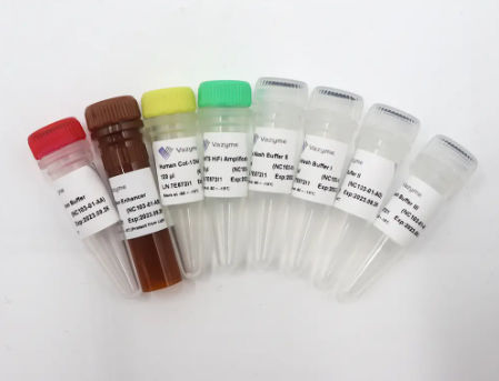 Kit di reagenti in soluzione - VAHTS - Nanjing Vazyme Medical Technology Co.,Ltd - di ibridazione / di pulizia