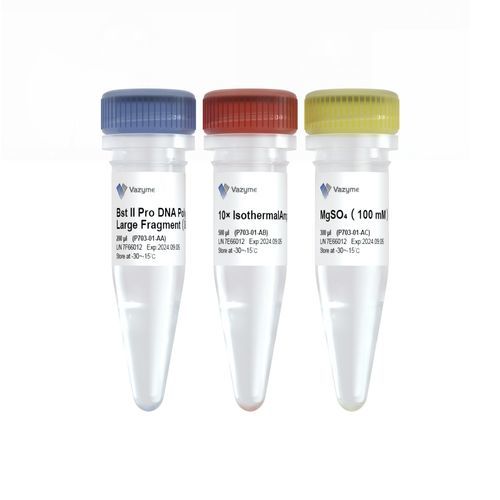 Kit di reagenti DNA polimerasi - Bst II Pro  - Nanjing Vazyme Medical Technology Co.,Ltd - per biologia molecolare / genetico / con avviamento a caldo