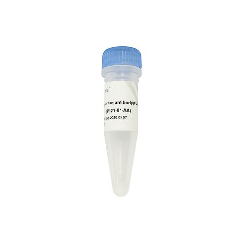 Reagente anticorpo monoclonale - P121 - Nanjing Vazyme Medical Technology Co.,Ltd - per biologia molecolare