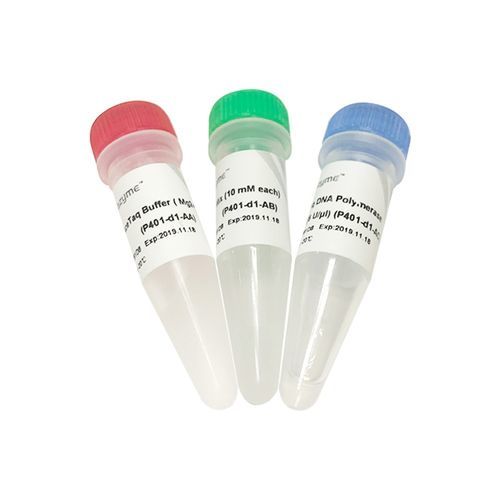 Kit di reagenti DNA polimerasi - AceTaq® - Nanjing Vazyme Medical Technology Co.,Ltd - Taq polimerasi / per preparazione di campioni