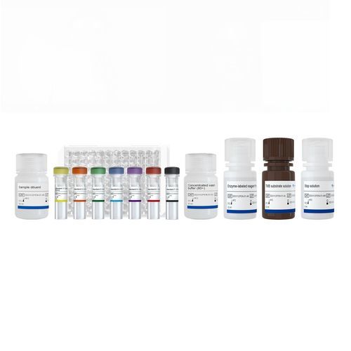 Kit di test per ricerca medica - RBD - Nanjing Vazyme Medical Technology Co.,Ltd - d'IgG / SARS-COV-2 / del coronavirus