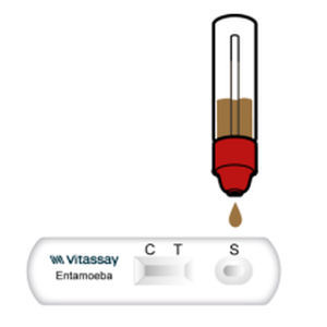 Test rapido di Entamoeba - VITASSAY HEALTHCARE S.L. - per malattie infettive / per antigeni / per feci