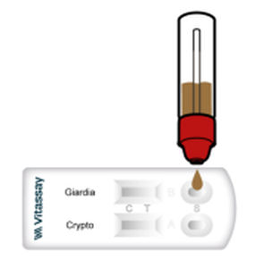 Test rapido della diarrea - VITASSAY HEALTHCARE S.L. - della giardiasi / per antigeni / di Cryptosporidium