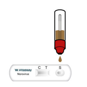 Test rapido del norovirus - VITASSAY HEALTHCARE S.L. - per malattie infettive / per antigeni / clinico