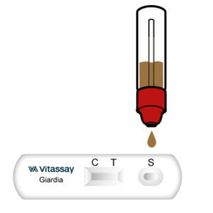 Test rapido per malattie gastrointestinali - VITASSAY HEALTHCARE S.L. - per antigeni / di parassiti / per feci