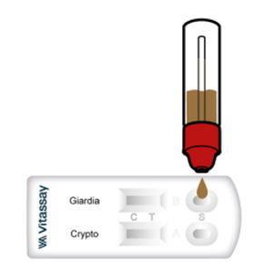 Test rapido della diarrea - VITASSAY HEALTHCARE S.L. - della giardiasi / per antigeni / batteriologico