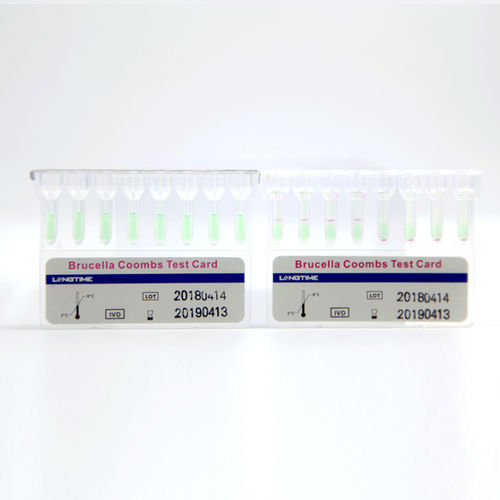 Kit di test per malattie infettive - Hubei Longtime Biological Technology Co., Ltd. - della Brucella / di siero / a cassetta