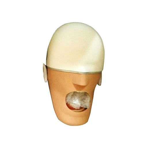 Modello anatomico facciale -  UM-F01 - Tangshan UMG Medical Instrument - odontoiatrico / ad uso didattico / di drenaggio