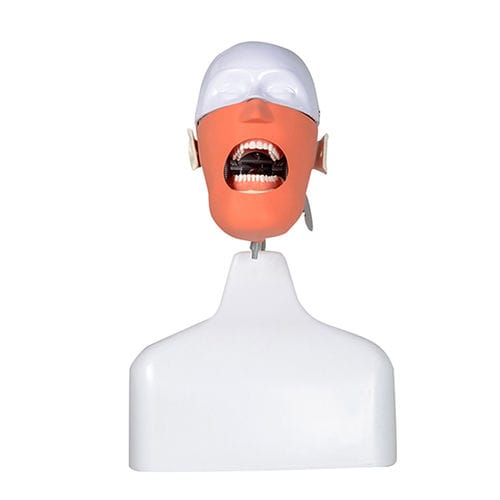 Simulatore didattico - UM-L20 series - Tangshan UMG Medical Instrument - odontoiatrico / di torso / portatile