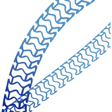 Stent coronarico - Xinsorb® - Shenzhen Wego Healthcare - polimerico / bioassorbibile