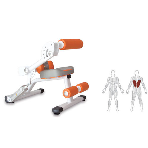 Panca per esercizi muscolari per lombari - KS109 - Shandong Zepu Medical Technology