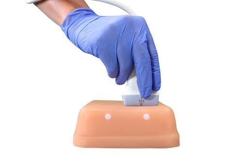 Simulatore didattico - HM2.0 - HUMIMIC - per accesso vascolare / per ecografia / per assistenza generale