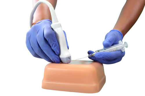 Simulatore didattico - VH300  - HUMIMIC - per accesso vascolare / per ecografia / per assistenza generale