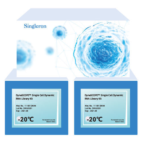 Kit di reagenti in soluzione - DynaSCOPE™ - Singleron Biotechnologies - da ricerca / per sequenziamento di RNA in cellula unica / per sintesi di RNA