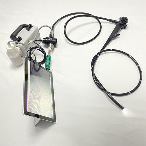 Gastroscopio veterinario video - GBS-9 - Jiangsu Ruitian Medical Technology - con video monitor integrato