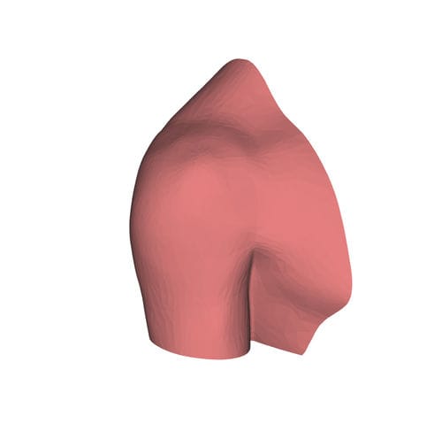 Modello anatomico di spalla - HUM-E - manikinmate - per puntura / per iniezioni / per ecografia