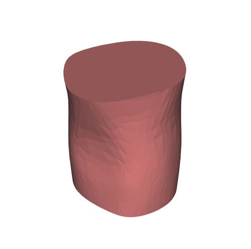 Modello anatomico di gomito - HUM-C - manikinmate - per puntura / per iniezioni / per ecografia