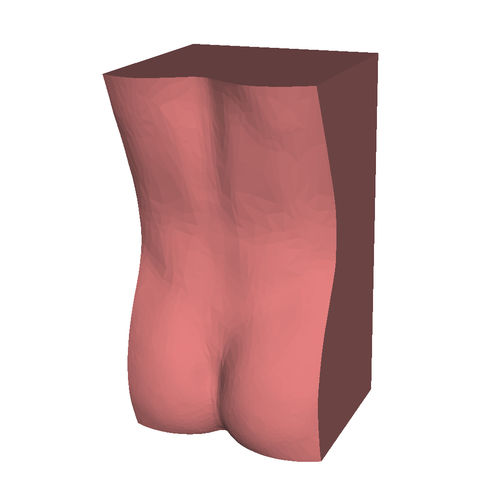 Modello anatomico lombare - HUM-L - manikinmate - per puntura / per iniezioni / per ecografia