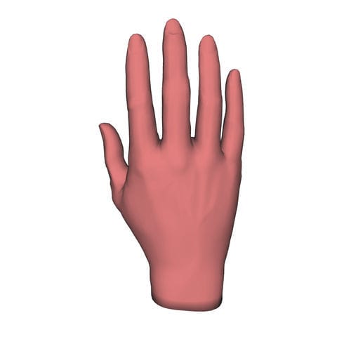 Modello anatomico di mano - HUM-M - manikinmate - di polsi / didattico / per iniezioni