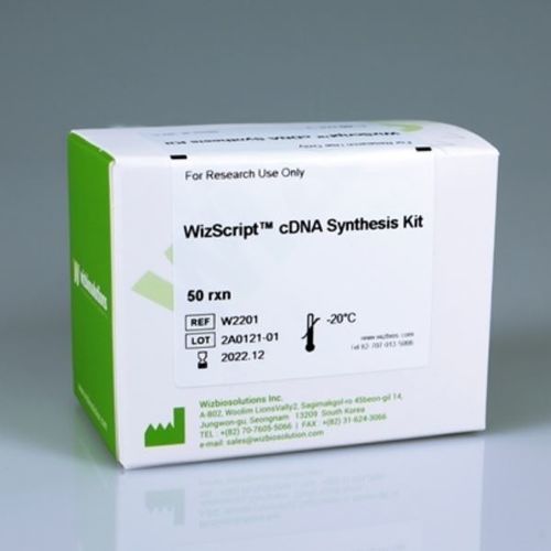 Kit di reagenti per sintesi di ADN complementare - WizScript™  - Wizbiosolutions Inc. - soluzione di dNTP / soluzione tampone / per RT-PCR