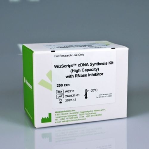 Kit di reagenti per sintesi di ADN complementare - WizScript™  - Wizbiosolutions Inc. - antigene ricombinante / per RT-PCR / per analisi di RNA