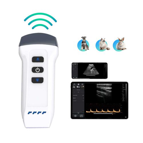 Ecografo veterinario palmare - DW-X1 VET - Dawei Medical - multiuso / per animali di piccola taglia / con doppler a colori
