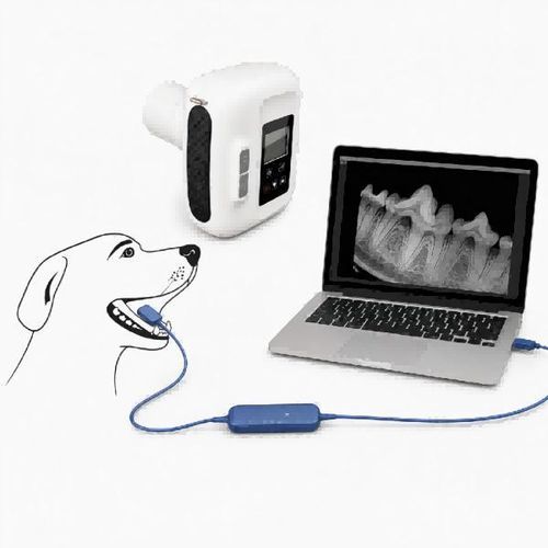 Sistema di radiografia veterinaria digitale - Dawei Medical - intraorale