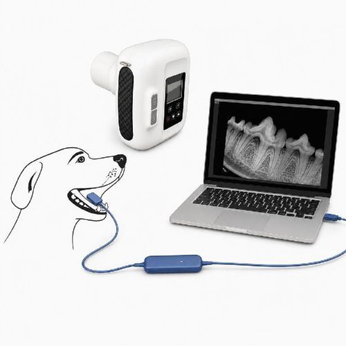 Sistema di radiografia veterinaria digitale - Dawei Medical - intraorale