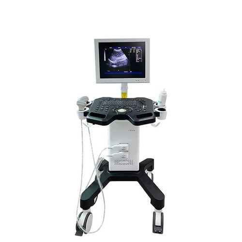 Ecografo portatile con carrello - DW-750 - Dawei Medical - per ecografia multidisciplinare / per ecografia ginecologica ed ostetrica / per ecografia muscolo-scheletrica