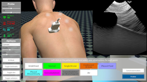 Simulatore di paziente per ecografia - LUS - Medical Simulation Technologies - per cure infermieristiche / per interventi di emergenza / per terapia intensiva