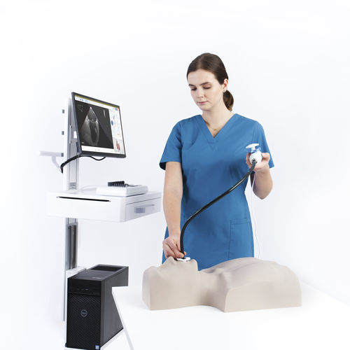 Simulatore didattico - MrTEEmothy® TEE  - Medical Simulation Technologies - per ecocardiografia / per ecografia Doppler / per ecocardiografia transesofagea
